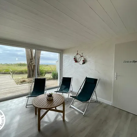 Holiday home 4 Avec Bien-etre Et Terrasses Au Coeur Du Marais Breton - Fr-1-426-559