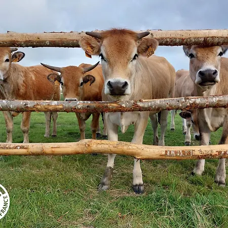 Casa de Férias 4 Avec Bien-être Et Terrasses Au Cœur Du Marais Breton - Fr-1-426-559