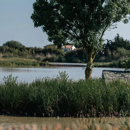 4 Avec Bien-etre Et Terrasses Au Coeur Du Marais Breton - Fr-1-426-559 Дом отдыха *