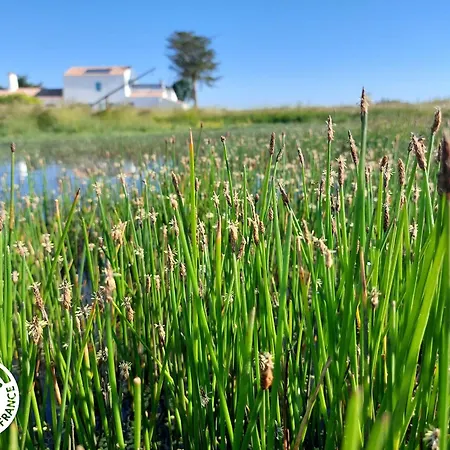 4 Avec Bien-être Et Terrasses Au Cœur Du Marais Breton - Fr-1-426-559