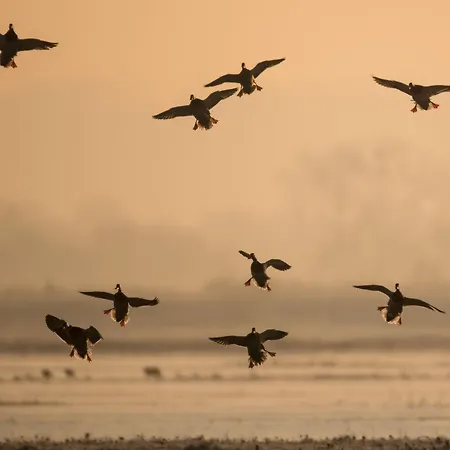 Dom wakacyjny 4 Avec Bien-etre Et Terrasses Au Coeur Du Marais Breton - Fr-1-426-559 Bois-de-Cené