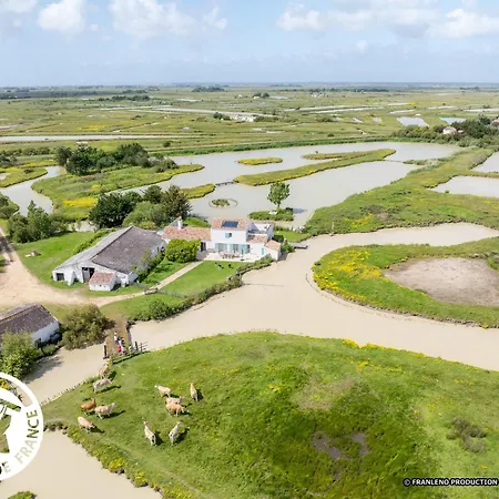 4 Avec Bien-etre Et Terrasses Au Coeur Du Marais Breton - Fr-1-426-559