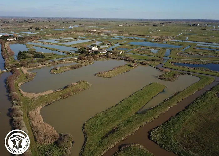 4 Avec Bien-etre Et Terrasses Au Coeur Du Marais Breton - Fr-1-426-559