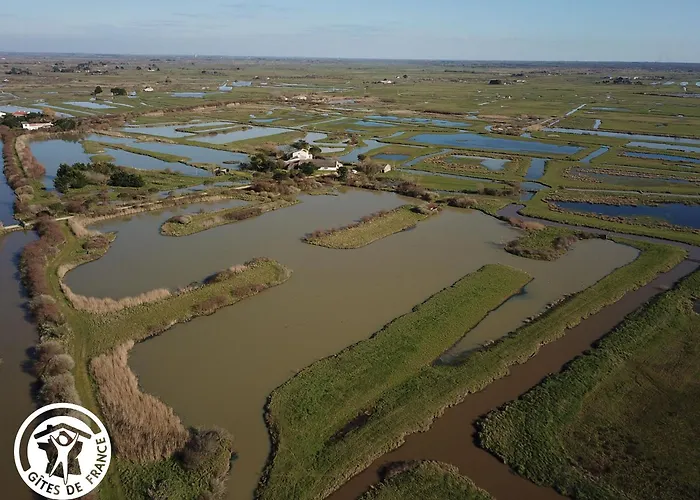 4 Avec Bien-etre Et Terrasses Au Coeur Du Marais Breton - Fr-1-426-559 *