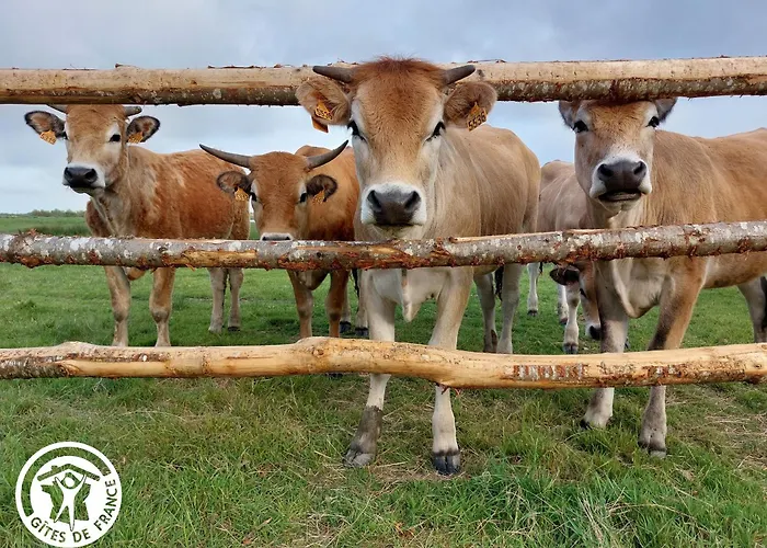 Сasa de vacaciones 4 Avec Bien-etre Et Terrasses Au Coeur Du Marais Breton - Fr-1-426-559