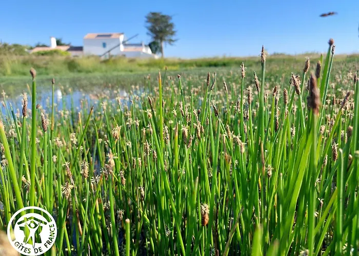 4 Avec Bien-etre Et Terrasses Au Coeur Du Marais Breton - Fr-1-426-559