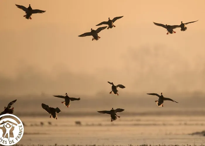 Сasa de vacaciones 4 Avec Bien-etre Et Terrasses Au Coeur Du Marais Breton - Fr-1-426-559 Bois-de-Cené